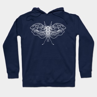 Insect opat Hoodie